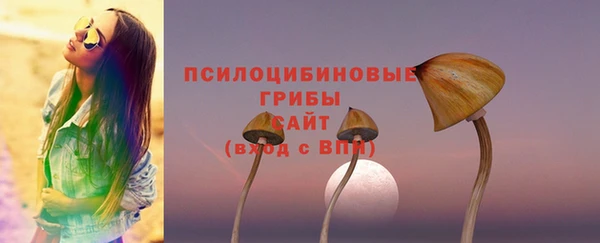 молекула духа Арсеньев