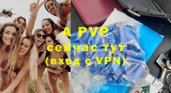 МДПВ Пересвет