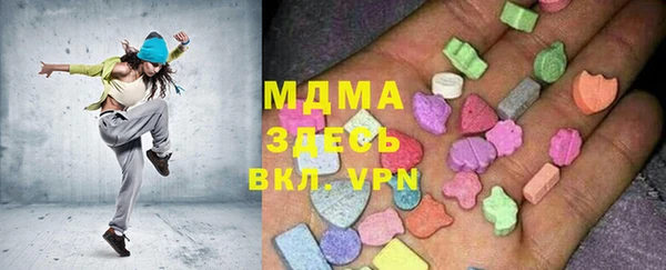 МДПВ Пересвет