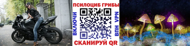 Псилоцибиновые грибы Psilocybine cubensis Ядрин