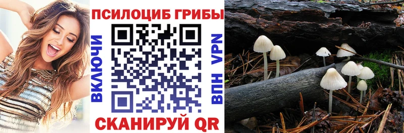 площадка как зайти  Ядрин  Галлюциногенные грибы ЛСД  наркошоп 